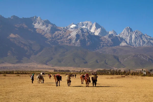 Tibetanske nomader - Stock-foto