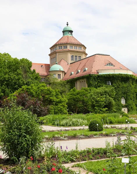 Мюнхенский ботанический сад — стоковое фото