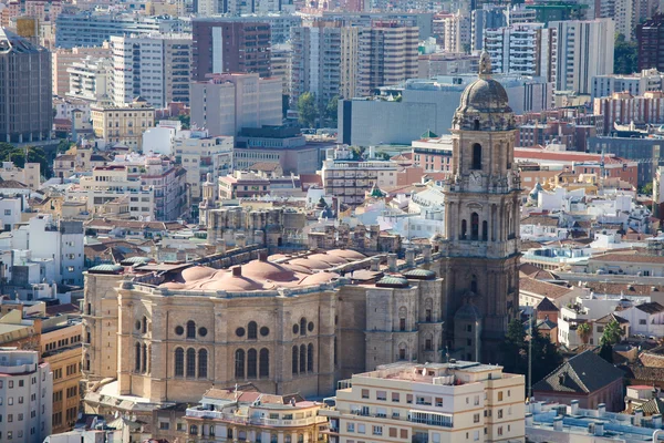 Katedralen i malaga — Stockfoto