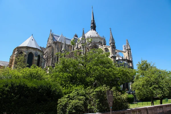 Katedra w Reims — Zdjęcie stockowe