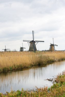 Hollanda yel değirmenleri