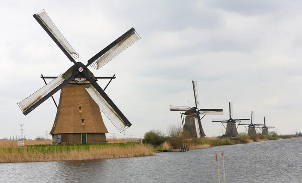 Niederländische Windmühlen — Stockfoto