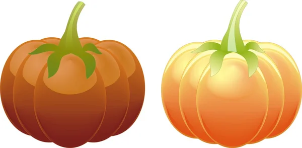 两个不同的橙色南瓜上白色隔离 — 图库矢量图片