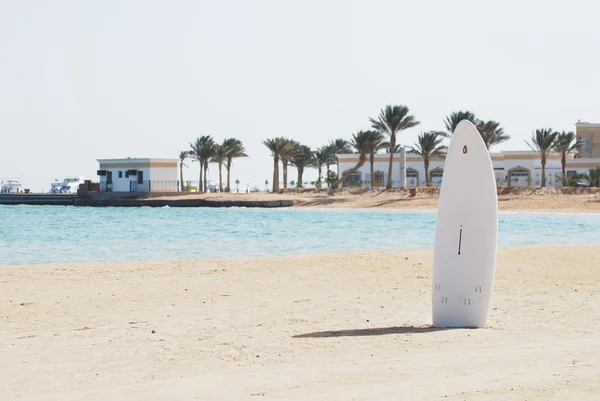 在海滩的沙子中的单个滑浪板 — 图库照片