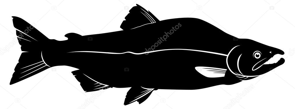 Free Free King Salmon Svg 875 SVG PNG EPS DXF File