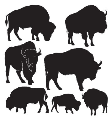 Buffalo vector silhouettes