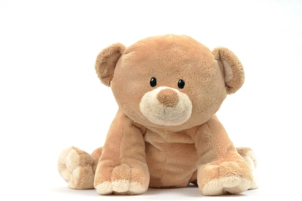 Teddy bear — Stock Photo, Image