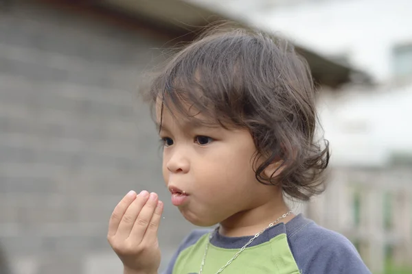 Boy eating a cookie in the park — Stock Photo, Image