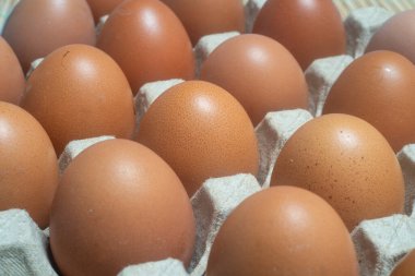 Yumurta kutusuna yerleştirilmiş tavuk yumurtalarını yakından çek. Protein gıdaları herkes için uygundur..
