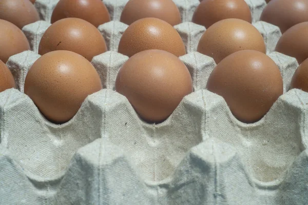 Крупним Планом Курячі Яйця Поміщають Яєчну Коробку Білкові Продукти Підходять — стокове фото