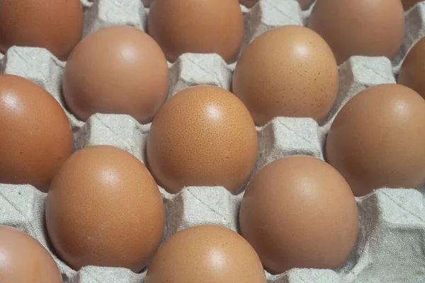 Крупним Планом Курячі Яйця Поміщають Яєчну Коробку Білкові Продукти Підходять — стокове фото