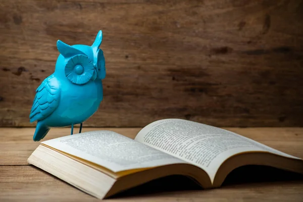 owl doll with an open book. concept of wisdom and knowledge.