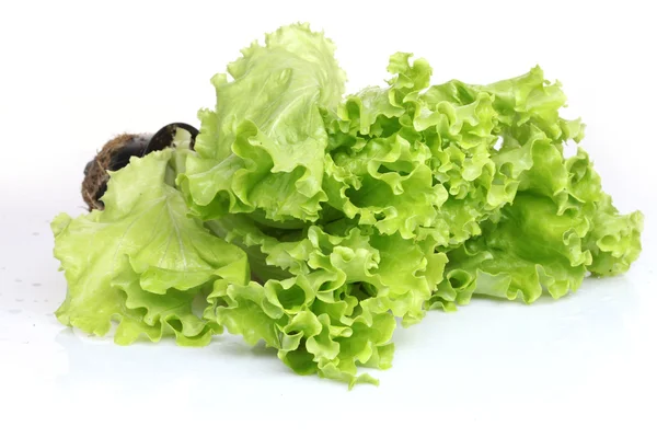 Frische grüne Salatblätter isoliert auf weiß — Stockfoto