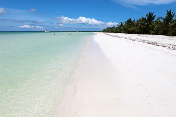 Sandiga kust och klara havet — Stockfoto