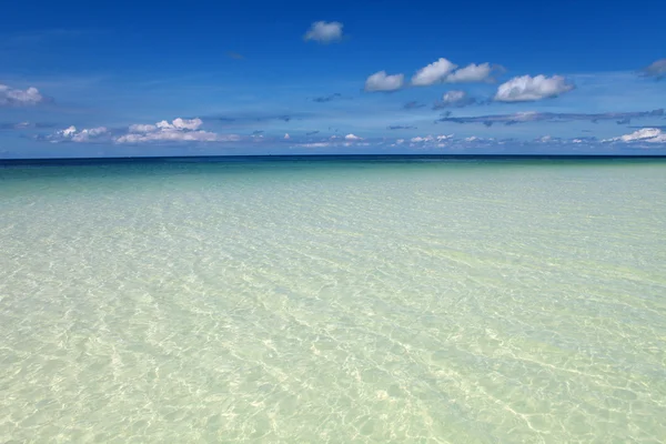 沙质海岸和明确海 — 图库照片