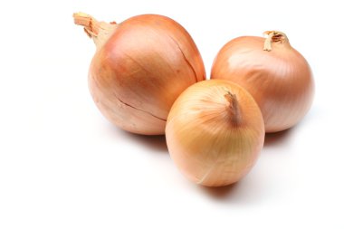 Beyaz arkaplanda soğan izole edildi