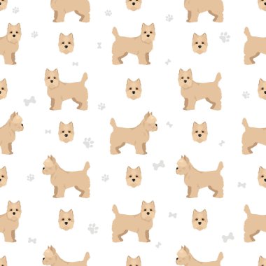 Dikensiz Cairn Teriyeri deseni. Farklı pozlar, farklı renkler. Vektör illüstrasyonu