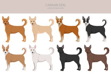 Kenan köpek klipsi. Farklı pozlar, farklı renkler. Vektör illüstrasyonu
