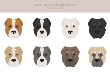 Orta Asya çoban köpeği Clipart. Farklı pozlar, farklı renkler. Vektör illüstrasyonu