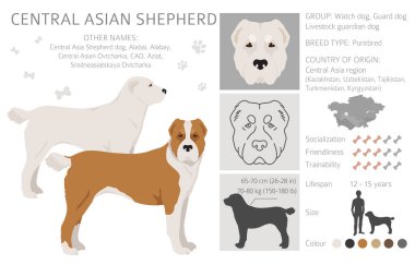 Orta Asya çoban köpeği Clipart. Farklı pozlar, farklı renkler. Vektör illüstrasyonu