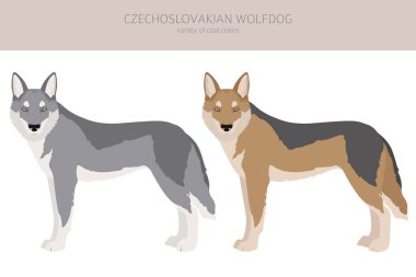 Çekoslovakya kurt köpeği kırpması. Farklı pozlar, farklı renkler. Vektör illüstrasyonu