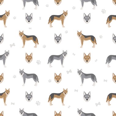 Çekoslovakya kurt köpeği kusursuz desen. Farklı pozlar, farklı renkler. Vektör illüstrasyonu
