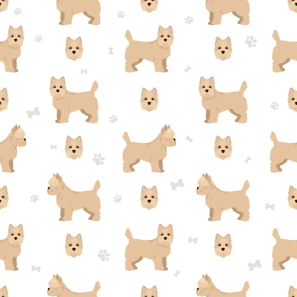 Cairn Terrier Απρόσκοπτη Μοτίβο Διαφορετικές Πόζες Σετ Χρωμάτων Εικονογράφηση Διανύσματος — Διανυσματικό Αρχείο