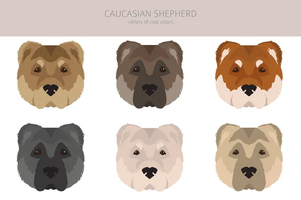 Kaukasische Herder Clipart Verschillende Houdingen Jas Kleuren Set Vectorillustratie — Stockvector