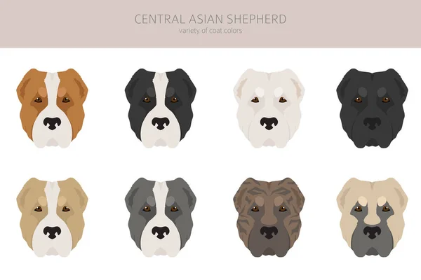 Clipart Berger Asie Centrale Différentes Poses Couleurs Manteau Réglées Illustration — Image vectorielle