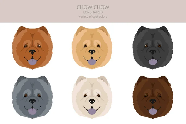 Chow Chow Uzun Saçlı Çeşitli Clipart Farklı Pozlar Farklı Renkler — Stok Vektör
