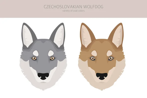 Czechoslovakian Wolfdog Clipart Different Poses Coat Colors Set Vector Illustration — Stock Vector