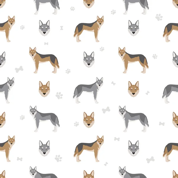 Czechoslovakian Wolfdog Seamless Pattern Different Poses Coat Colors Set Vector — Stock Vector