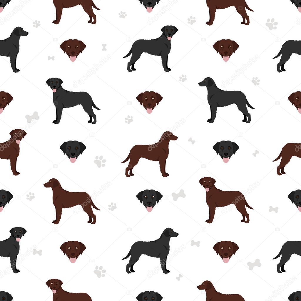 Curly coated retriever seamless pattern. Different poses, coat colors set.  Vector illustration