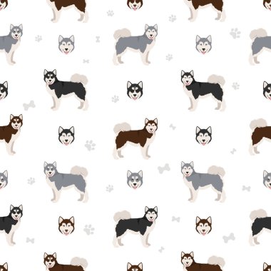 Kanadalı Eskimo köpeği kusursuz desen. Farklı pozlar, farklı renkler. Vektör illüstrasyonu