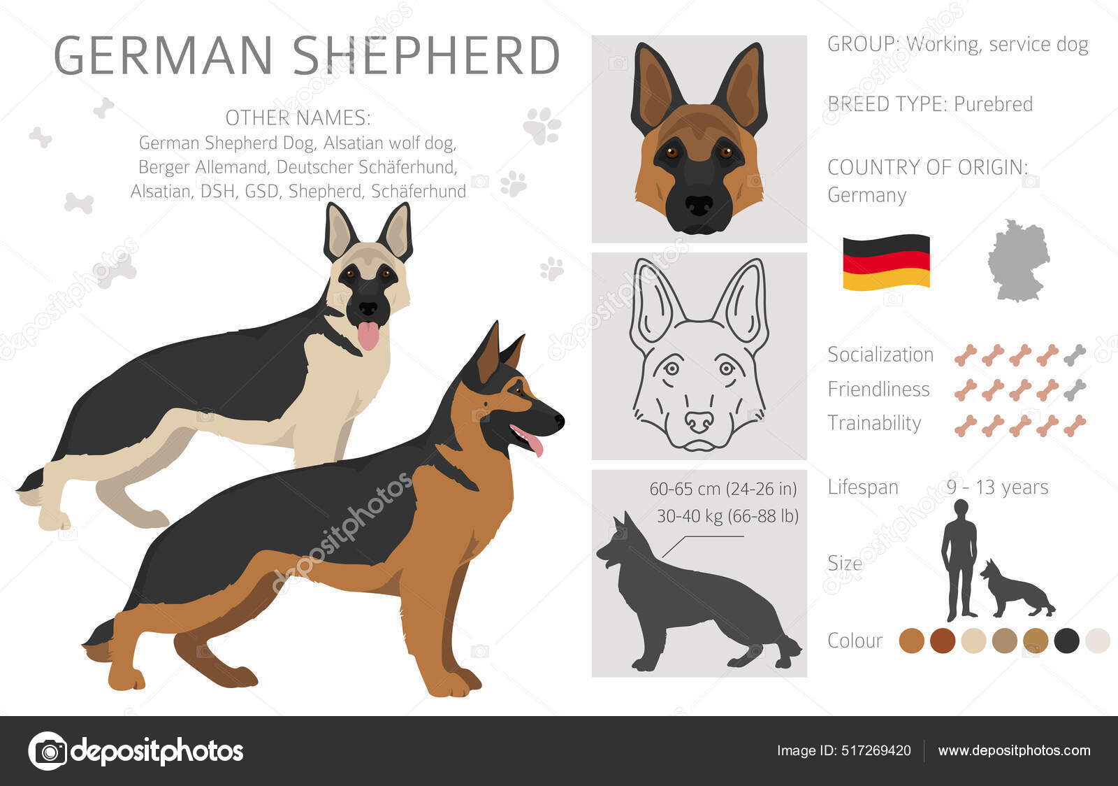 Gsd coat types cheap