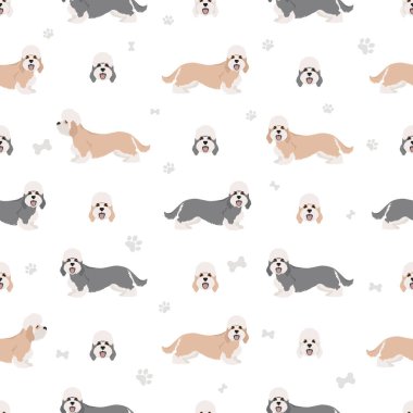 Dandie Dinmont Teriyeri kusursuz desen. Farklı pozlar, farklı renkler. Vektör illüstrasyonu