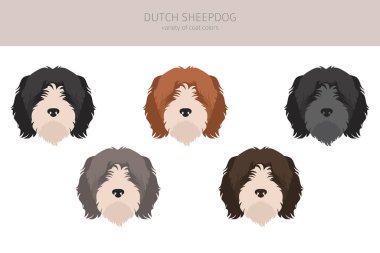Alman çoban köpeği Schapendo Clipart. Farklı pozlar, farklı renkler. Vektör illüstrasyonu