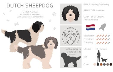 Alman çoban köpeği Schapendo Clipart. Farklı pozlar, farklı renkler. Vektör illüstrasyonu