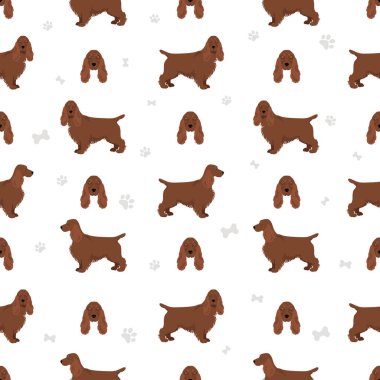 İngiliz cocker spaniel lekesiz desen. Farklı pozlar, farklı renkler. Vektör illüstrasyonu