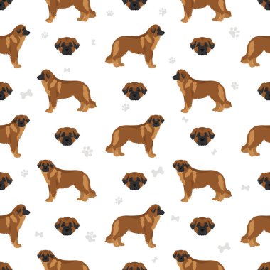 Estrela dağ köpeği kusursuz desen. Farklı pozlar, farklı renkler. Vektör illüstrasyonu