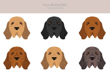 Fila Brasileiro tırmanışı. Farklı pozlar, farklı renkler. Vektör illüstrasyonu