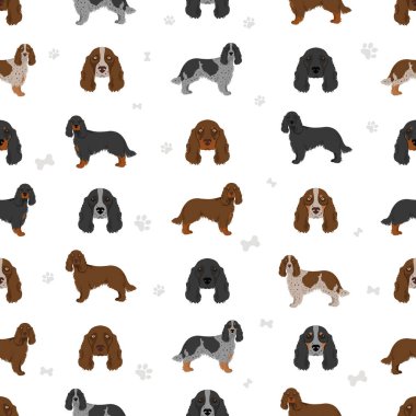 Arazi spanyeli kusursuz desen. Farklı pozlar, farklı renkler. Vektör illüstrasyonu