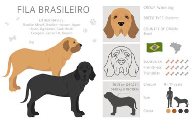 Fila Brasileiro tırmanışı. Farklı pozlar, farklı renkler. Vektör illüstrasyonu