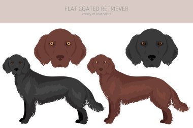 Düz kaplama av köpeği tırnağı. Farklı pozlar, farklı renkler. Vektör illüstrasyonu