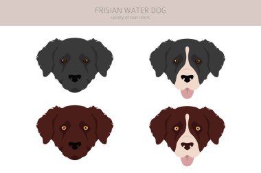 Frizya su köpeği klipsi. Farklı pozlar, farklı renkler. Vektör illüstrasyonu