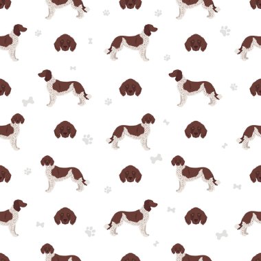 Alman uzun saçlı işaretçi kusursuz desen. Farklı pozlar, farklı renkler. Vektör illüstrasyonu