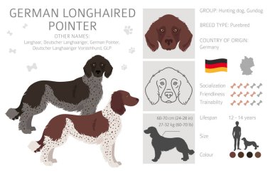 Alman uzun saçlı işaretçi klipsi. Farklı pozlar, farklı renkler. Vektör illüstrasyonu