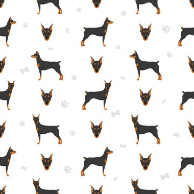 Alman pinscher deseni kusursuz. Farklı pozlar, farklı renkler. Vektör illüstrasyonu