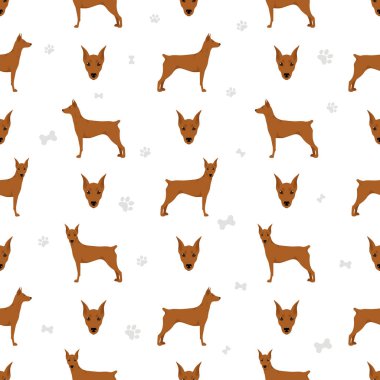 Alman pinscher deseni kusursuz. Farklı pozlar, farklı renkler. Vektör illüstrasyonu