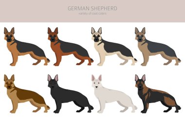 Farklı pozlarda Alman çoban köpeği ve palto renkleri kesişiyor. Vektör illüstrasyonu